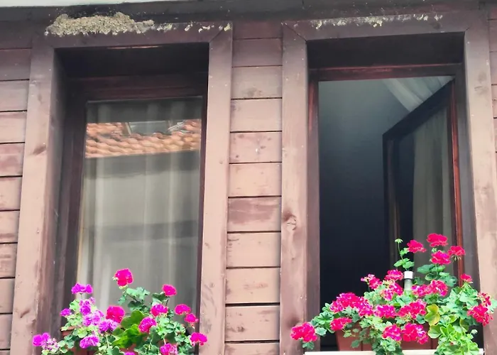 Guest Melsambria נסבר