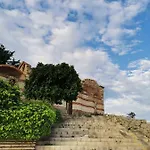 самостоятелни мелсамбрия 3*