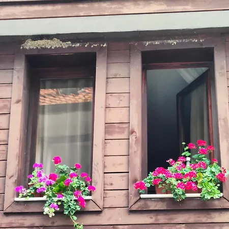 Guest Melsambria Nessebar