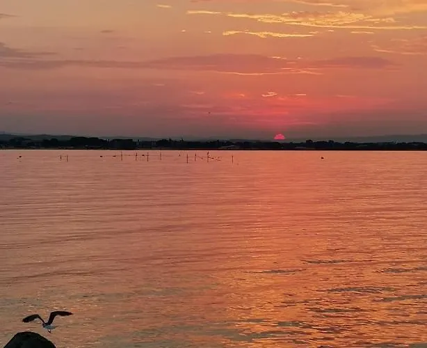 Pensiune Guest Melsambria 4*