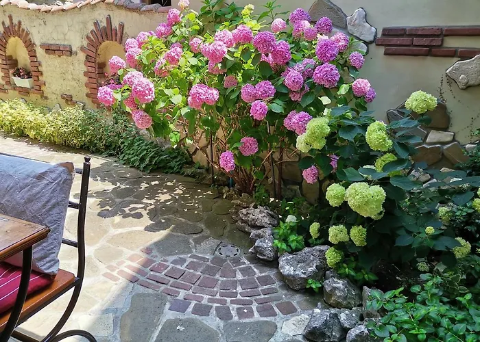 Pensiune Guest Melsambria 4*