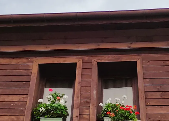 Pensiune Guest Melsambria Nesebăr